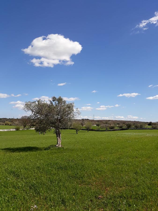 Villa Enjoytrulli - Countryside Noci Exterior foto
